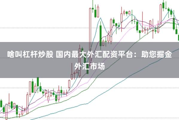 啥叫杠杆炒股 国内最大外汇配资平台:助您掘金外汇市场