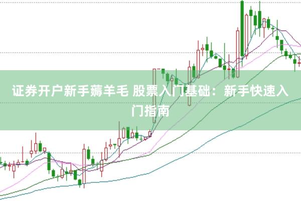 证券开户新手薅羊毛 股票入门基础：新手快速入门指南