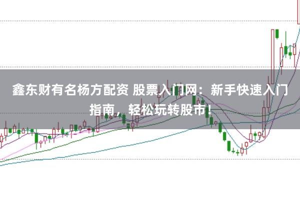 鑫东财有名杨方配资 股票入门网：新手快速入门指南，轻松玩转股市！