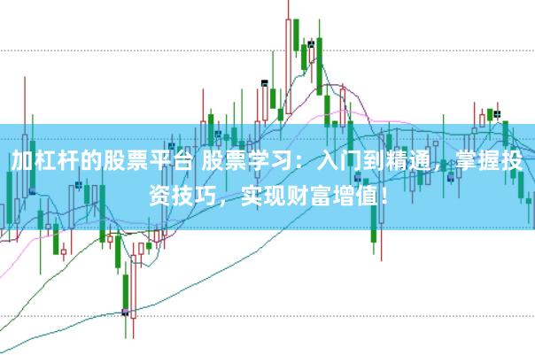 加杠杆的股票平台 股票学习：入门到精通，掌握投资技巧，实现财富增值！