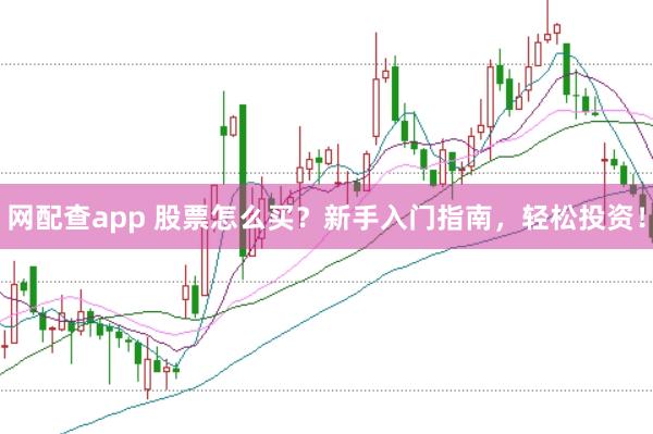 网配查app 股票怎么买？新手入门指南，轻松投资！