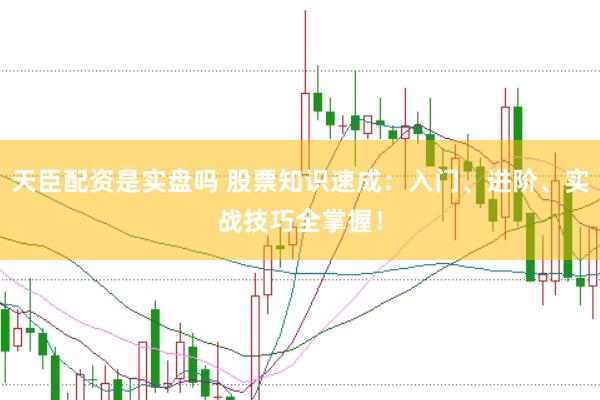 天臣配资是实盘吗 股票知识速成:入门、进阶、实战技巧全掌握!