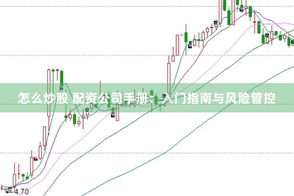 怎么炒股 配资公司手册：入门指南与风险管控