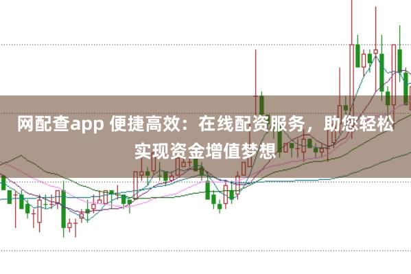 网配查app 便捷高效：在线配资服务，助您轻松实现资金增值梦想