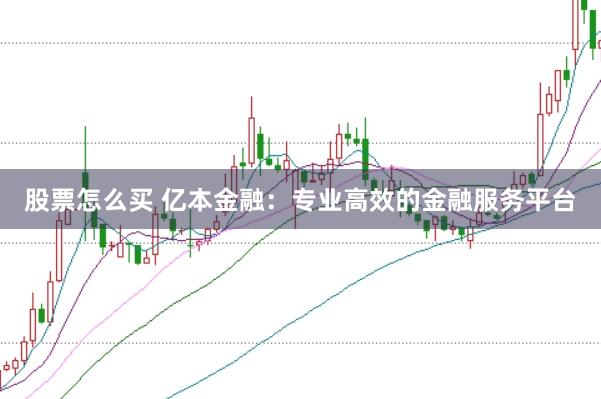股票怎么买 亿本金融：专业高效的金融服务平台