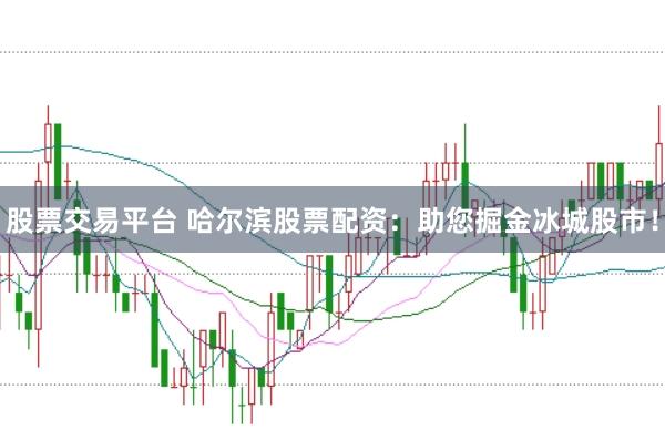 股票交易平台 哈尔滨股票配资：助您掘金冰城股市！